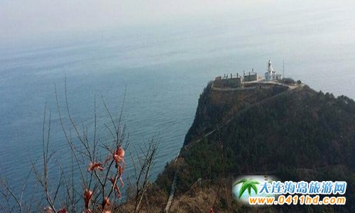 海王九島美杰漁家旅店