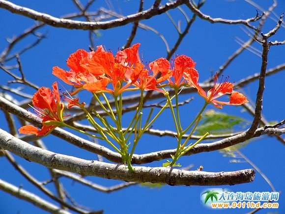 塞班島美國紀念公園