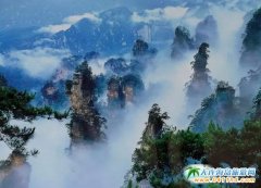 ���ҽ�ĉ�־ɽ�� �·��[�������F֮�g���ɾ�