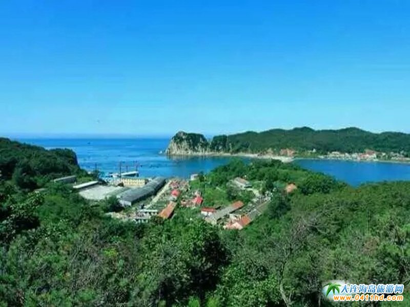 点击看大图