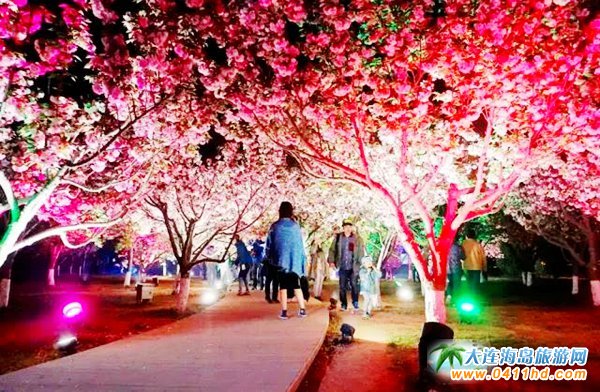 2018大連旅順櫻花節(jié)